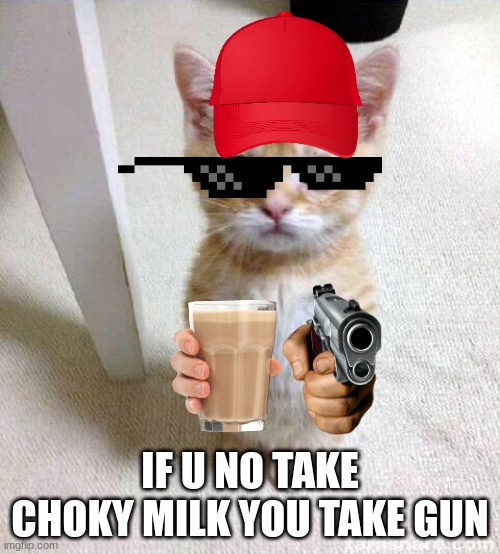 Cute Cat Meme | IF U NO TAKE CHOKY MILK YOU TAKE GUN | image tagged in memes,cute cat | made w/ Imgflip meme maker