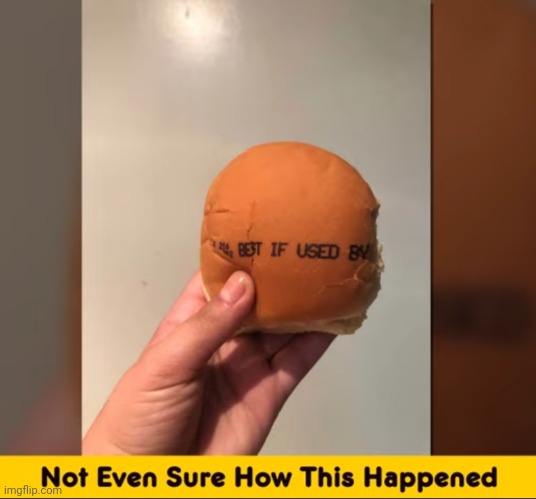 image tagged in funny memes | made w/ Imgflip meme maker