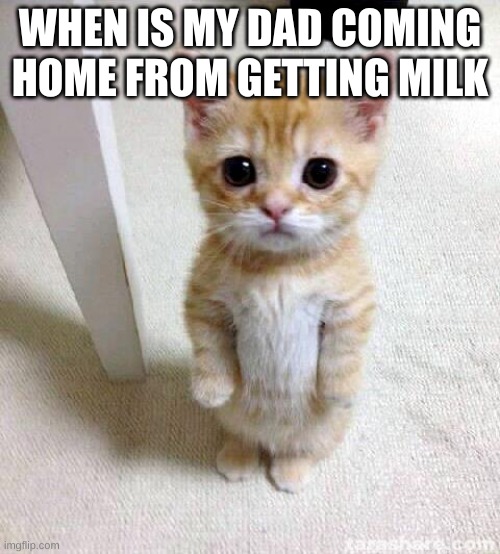 Cute Cat | WHEN IS MY DAD COMING HOME FROM GETTING MILK | image tagged in memes,cute cat | made w/ Imgflip meme maker