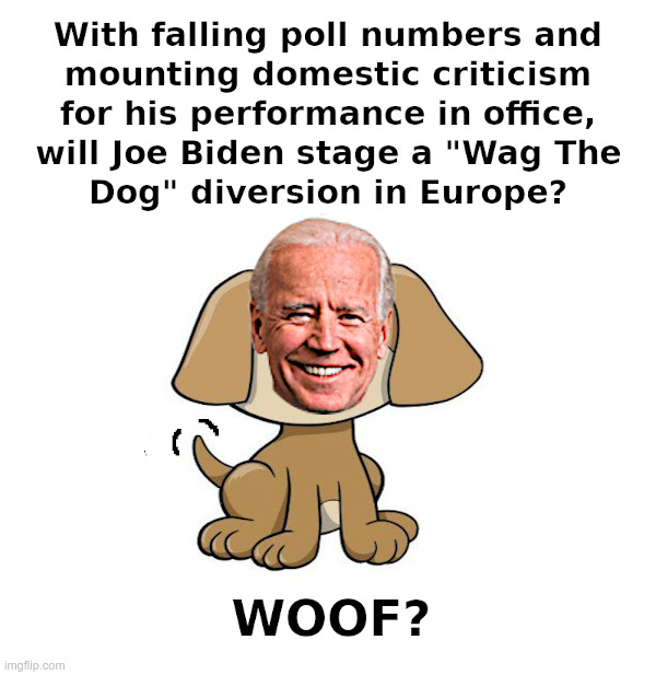 Joe Biden: Wag The Dog? - Imgflip