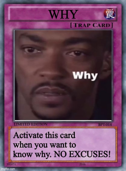 Why card | WHY; Activate this card when you want to know why. NO EXCUSES! | image tagged in card,why,why card | made w/ Imgflip meme maker