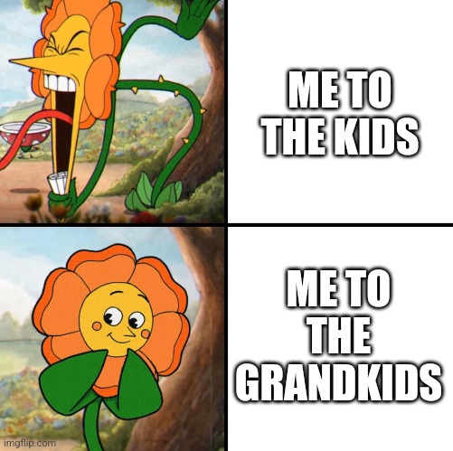 angry flower | ME TO THE KIDS; ME TO THE GRANDKIDS | image tagged in angry flower | made w/ Imgflip meme maker