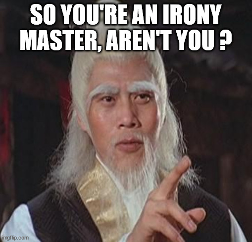 Wise Kung Fu Master | SO YOU'RE AN IRONY MASTER, AREN'T YOU ? | image tagged in wise kung fu master | made w/ Imgflip meme maker