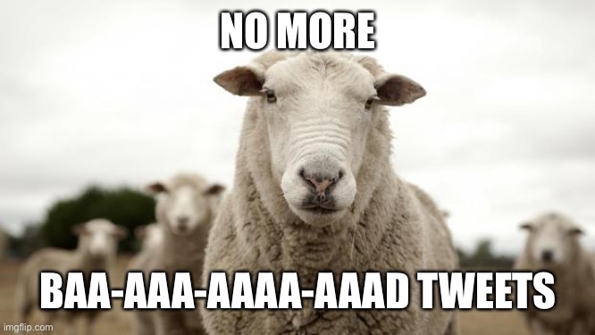Sheep | NO MORE BAA-AAA-AAAA-AAAD TWEETS | image tagged in sheep | made w/ Imgflip meme maker