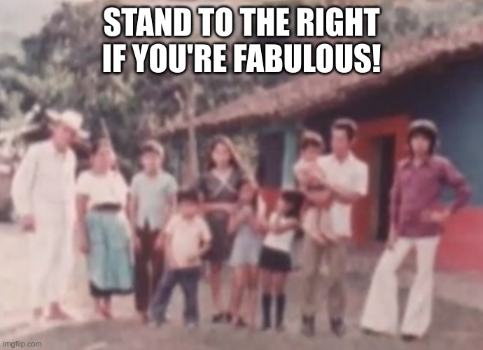 fabulous | STAND TO THE RIGHT IF YOU'RE FABULOUS! | image tagged in fun | made w/ Imgflip meme maker