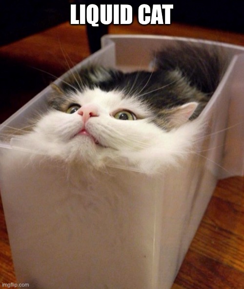 LIQUID CAT | made w/ Imgflip meme maker
