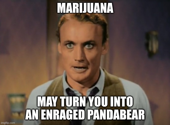 reefer madness |  MARIJUANA; MAY TURN YOU INTO AN ENRAGED PANDABEAR | image tagged in weed | made w/ Imgflip meme maker