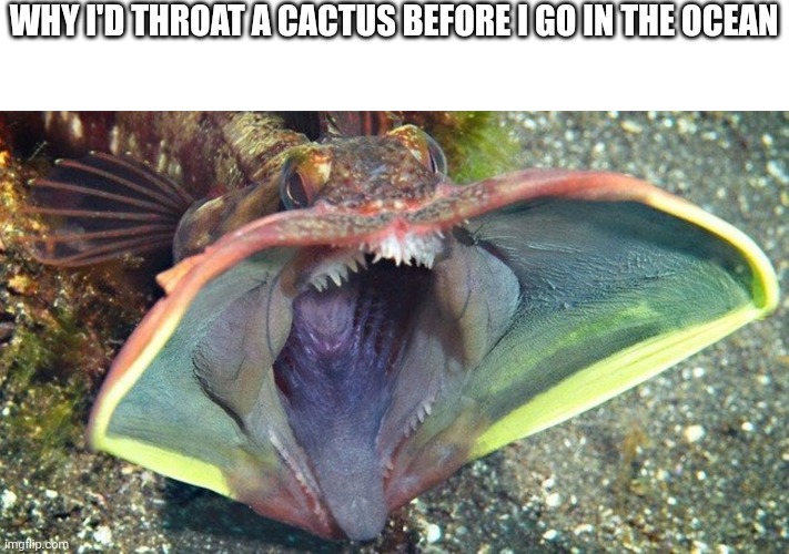 Aliens exist. They already live on earth. In the ocean | WHY I'D THROAT A CACTUS BEFORE I GO IN THE OCEAN | made w/ Imgflip meme maker