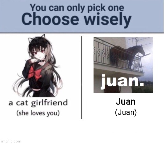 Choose wisely | Juan; (Juan) | image tagged in choose wisely | made w/ Imgflip meme maker