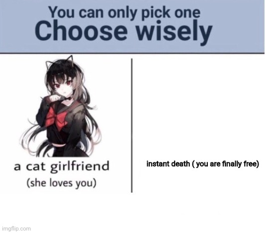 Choose wisely | instant death ( you are finally free) | image tagged in choose wisely | made w/ Imgflip meme maker