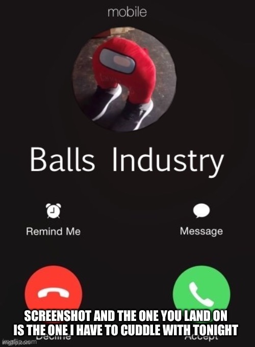 Balls Industry | SCREENSHOT AND THE ONE YOU LAND ON IS THE ONE I HAVE TO CUDDLE WITH TONIGHT | image tagged in balls industry | made w/ Imgflip meme maker
