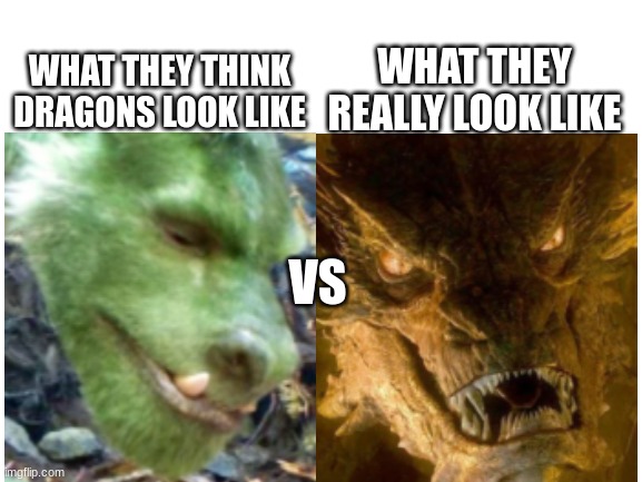 dragon vs dragon | WHAT THEY REALLY LOOK LIKE; WHAT THEY THINK DRAGONS LOOK LIKE; VS | image tagged in lol | made w/ Imgflip meme maker