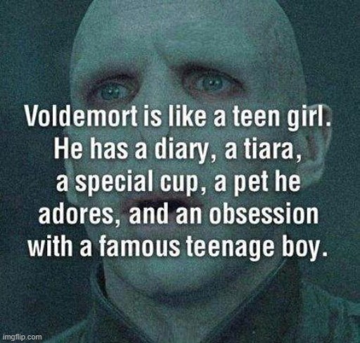 lolers | image tagged in moldy voldy | made w/ Imgflip meme maker