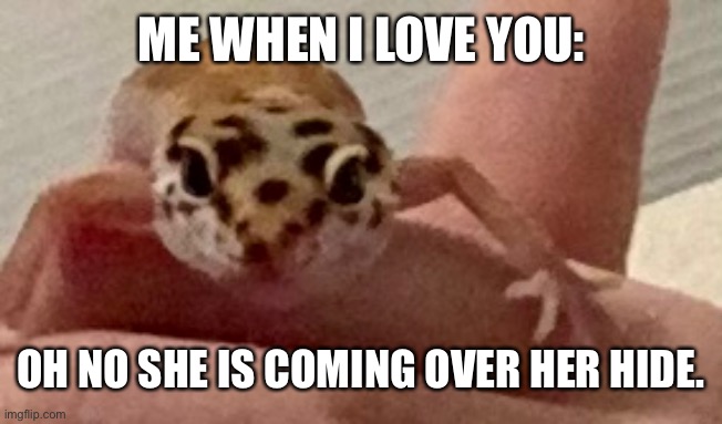 To someone I love | ME WHEN I LOVE YOU:; OH NO SHE IS COMING OVER HER HIDE. | image tagged in i love you | made w/ Imgflip meme maker