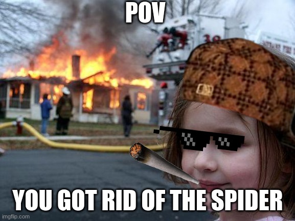 Disaster Girl | POV; YOU GOT RID OF THE SPIDER | image tagged in memes,disaster girl | made w/ Imgflip meme maker