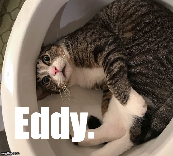 Eddy. | made w/ Imgflip meme maker