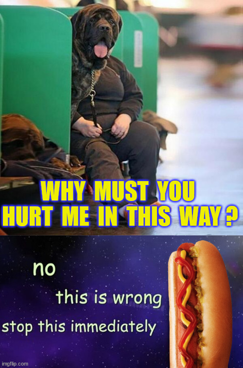 WHY  MUST  YOU  HURT  ME  IN  THIS  WAY ? | made w/ Imgflip meme maker