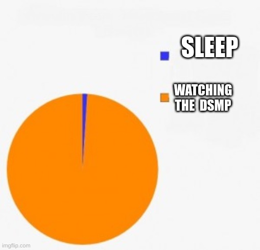 pie chart/ percentage | SLEEP; WATCHING THE  DSMP | image tagged in pie chart/ percentage | made w/ Imgflip meme maker