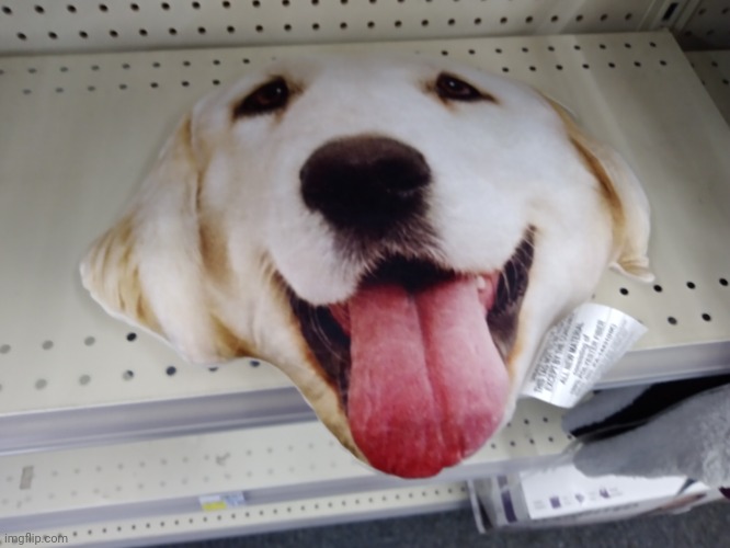 They decapitated my first pet | made w/ Imgflip meme maker