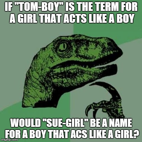 Philosoraptor Meme | IF "TOM-BOY" IS THE TERM FOR A GIRL THAT ACTS LIKE A BOY WOULD "SUE-GIRL" BE A NAME FOR A BOY THAT ACS LIKE A GIRL? | image tagged in memes,philosoraptor | made w/ Imgflip meme maker