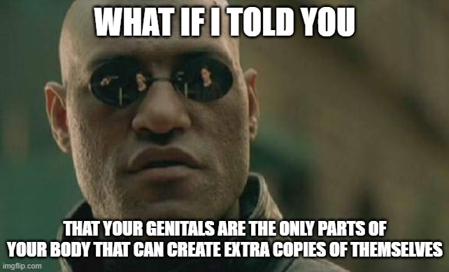 Matrix Morpheus | WHAT IF I TOLD YOU; THAT YOUR GENITALS ARE THE ONLY PARTS OF YOUR BODY THAT CAN CREATE EXTRA COPIES OF THEMSELVES | image tagged in memes,matrix morpheus | made w/ Imgflip meme maker