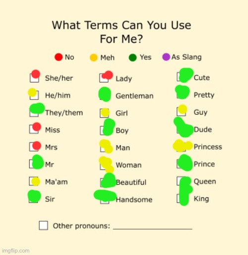 Pronouns Sheet | image tagged in pronouns sheet | made w/ Imgflip meme maker