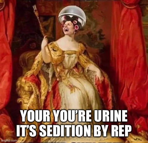 Nancy the Queen | YOUR YOU’RE URINE
IT’S SEDITION BY REPUBLICANS | image tagged in nancy the queen | made w/ Imgflip meme maker
