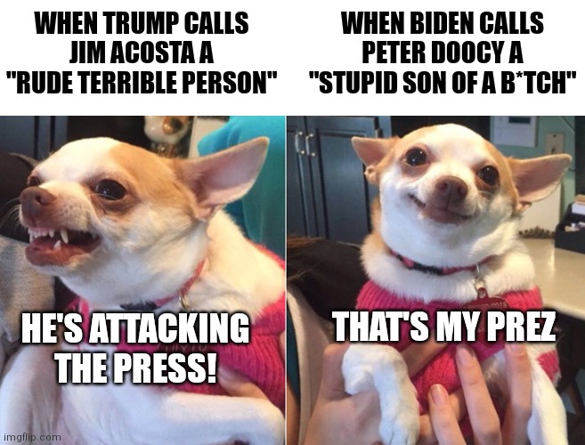 I'm confused on what Democrats and Liberals deem acceptable |  WHEN TRUMP CALLS JIM ACOSTA A "RUDE TERRIBLE PERSON"; WHEN BIDEN CALLS PETER DOOCY A "STUPID SON OF A B*TCH"; THAT'S MY PREZ; HE'S ATTACKING THE PRESS! | image tagged in lily lu,biden,democrats,trump,hypocrisy,white house | made w/ Imgflip meme maker
