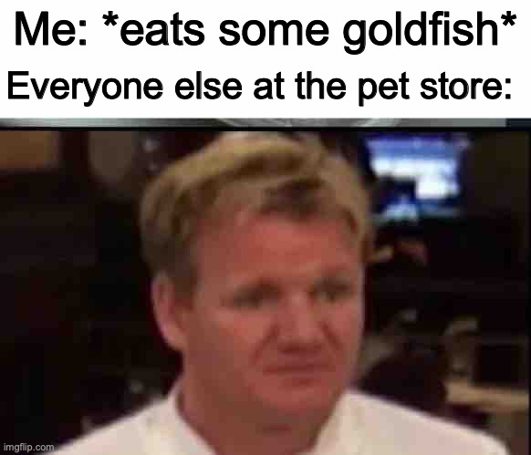 inspirational title | Me: *eats some goldfish*; Everyone else at the pet store: | image tagged in wtf gordon ramsey,pets | made w/ Imgflip meme maker