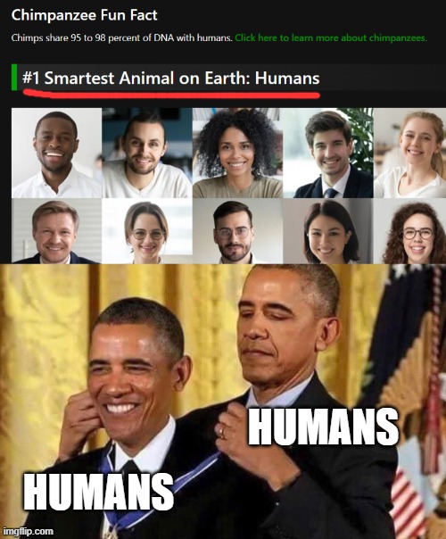 1# smartest animal | HUMANS; HUMANS | image tagged in obama medal,humans | made w/ Imgflip meme maker