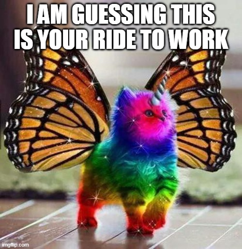 Rainbow unicorn butterfly kitten | I AM GUESSING THIS IS YOUR RIDE TO WORK | image tagged in rainbow unicorn butterfly kitten | made w/ Imgflip meme maker