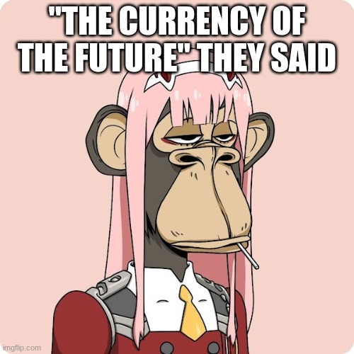 Image title | "THE CURRENCY OF THE FUTURE" THEY SAID | image tagged in zero two,monkey,nft,booboobfb | made w/ Imgflip meme maker