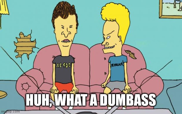 Beavis and Butthead | HUH, WHAT A DUMBASS | image tagged in beavis and butthead | made w/ Imgflip meme maker