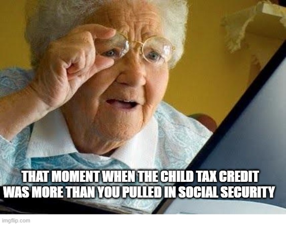 old lady at computer | THAT MOMENT WHEN THE CHILD TAX CREDIT WAS MORE THAN YOU PULLED IN SOCIAL SECURITY | image tagged in old lady at computer | made w/ Imgflip meme maker