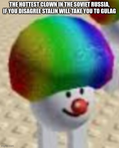 hot clown | THE HOTTEST CLOWN IN THE SOVIET RUSSIA, IF YOU DISAGREE STALIN WILL TAKE YOU TO GULAG | image tagged in hot clown template | made w/ Imgflip meme maker