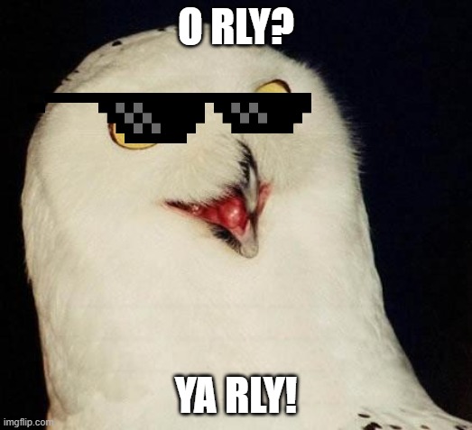 O RLY? | O RLY? YA RLY! | image tagged in o rly | made w/ Imgflip meme maker