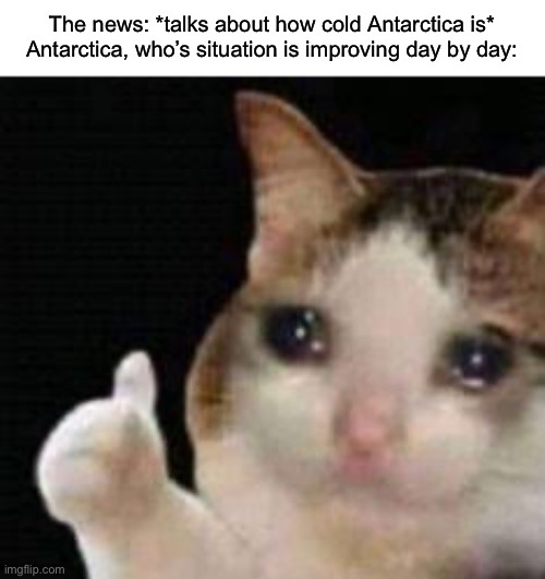 How dare they not notice that? | The news: *talks about how cold Antarctica is*
Antarctica, who’s situation is improving day by day: | image tagged in approved crying cat | made w/ Imgflip meme maker