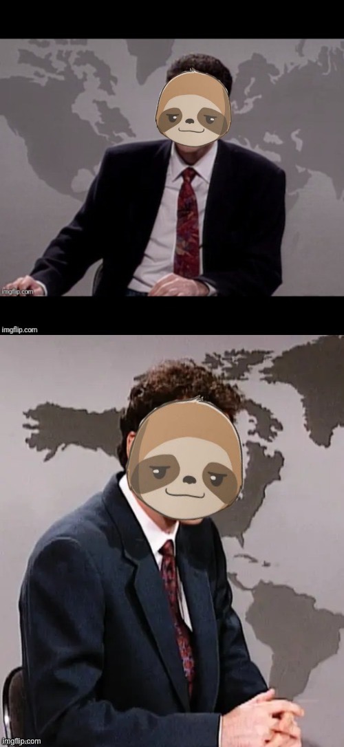 High Quality Sloth weekend update Blank Meme Template