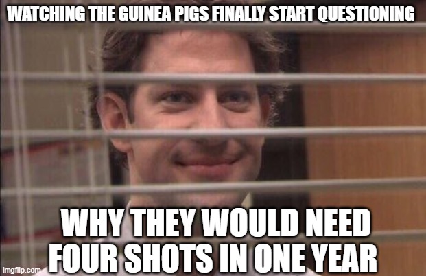 covid | WATCHING THE GUINEA PIGS FINALLY START QUESTIONING; WHY THEY WOULD NEED FOUR SHOTS IN ONE YEAR | image tagged in jim halpert smirking | made w/ Imgflip meme maker