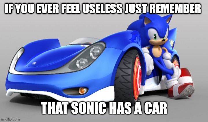 But why...? | IF YOU EVER FEEL USELESS JUST REMEMBER; THAT SONIC HAS A CAR | image tagged in sonic the hedgehog | made w/ Imgflip meme maker