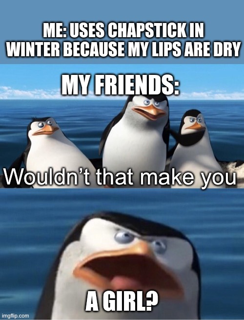 chapstick... lipstick... THEYRE DIFFERENT THINGS PEOPLE | ME: USES CHAPSTICK IN WINTER BECAUSE MY LIPS ARE DRY; MY FRIENDS:; A GIRL? | image tagged in wouldn t that make you | made w/ Imgflip meme maker