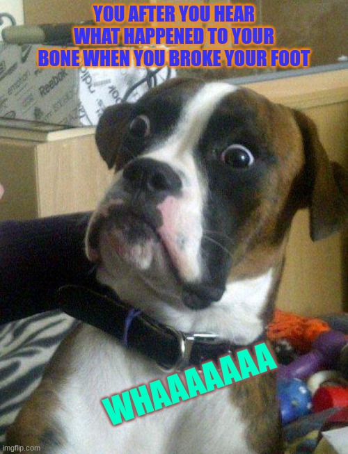 Blankie the Shocked Dog | YOU AFTER YOU HEAR WHAT HAPPENED TO YOUR BONE WHEN YOU BROKE YOUR FOOT; WHAAAAAAA | image tagged in blankie the shocked dog | made w/ Imgflip meme maker