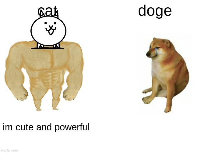 Buff Doge vs. Cheems | cat; doge; im cute and powerful | image tagged in memes,buff doge vs cheems,cats | made w/ Imgflip meme maker
