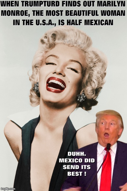 image tagged in marilyn monroe,donald trump is an idiot,clown car republicans,mexico,hollywood,idiot | made w/ Imgflip meme maker