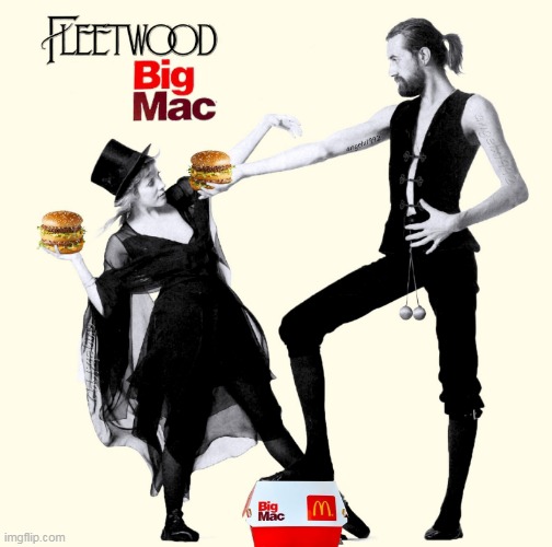 image tagged in fleetwood mac,stevie nicks,macdonalds,big mac,hamburger,rock music | made w/ Imgflip meme maker