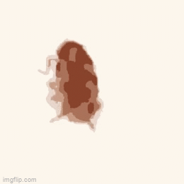 My brain during test | MY BRAIN DURING TEST | image tagged in gifs,cockroach | made w/ Imgflip video-to-gif maker