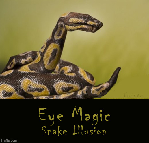 Eye Magic.... Snake Illusion | image tagged in memes,funny | made w/ Imgflip meme maker