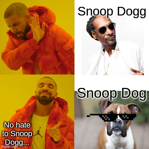 Snoop Dogg | Snoop Dogg; Snoop Dog; No hate to Snoop Dogg... | image tagged in memes,drake hotline bling | made w/ Imgflip meme maker