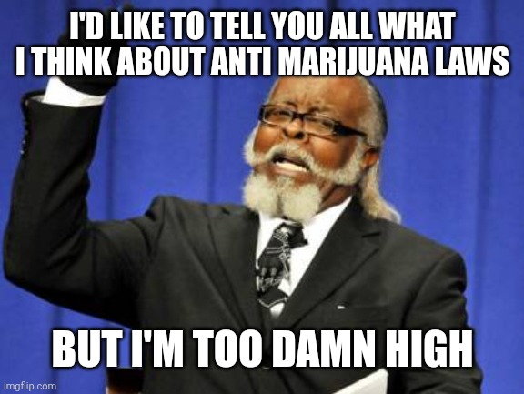 Too Damn High | I'D LIKE TO TELL YOU ALL WHAT I THINK ABOUT ANTI MARIJUANA LAWS; BUT I'M TOO DAMN HIGH | image tagged in memes,too damn high | made w/ Imgflip meme maker