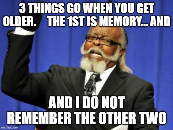 funny | 3 THINGS GO WHEN YOU GET OLDER.     THE 1ST IS MEMORY... AND; AND I DO NOT REMEMBER THE OTHER TWO | image tagged in memes,too damn high | made w/ Imgflip meme maker
